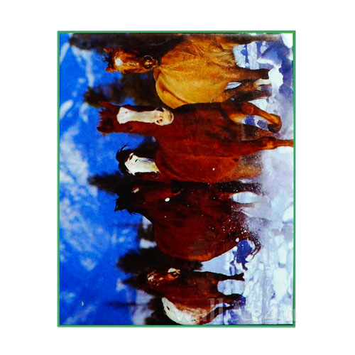 Magic Wallet, Horses - MWAP0103